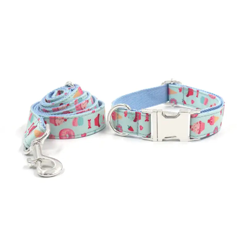 Set for Walking - Dog Collar and Leash