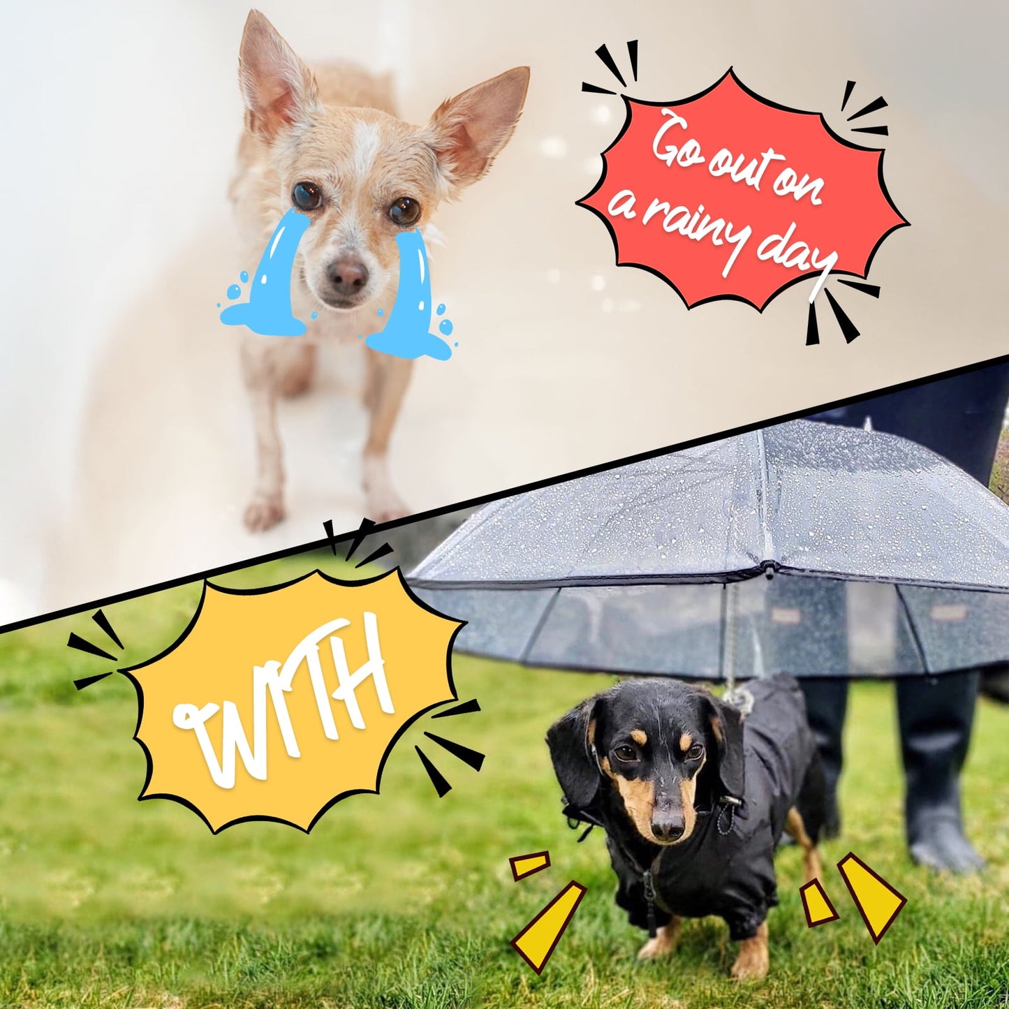 Dog Umbrella for Small-Medium Dogs