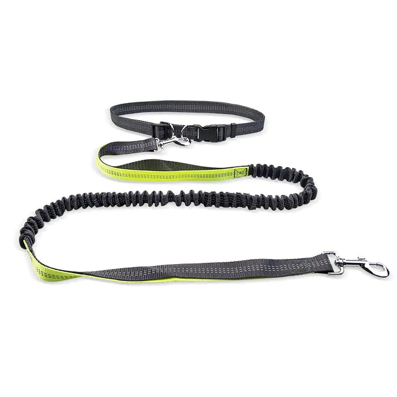 Dog Walking Belt