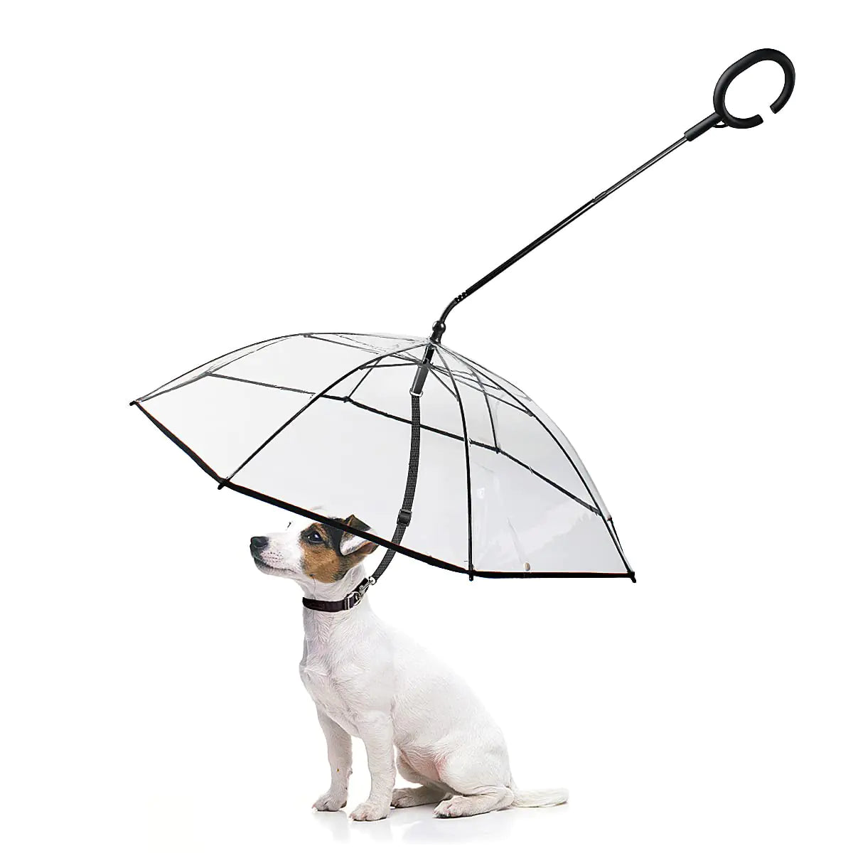 Dog Umbrella for Small-Medium Dogs