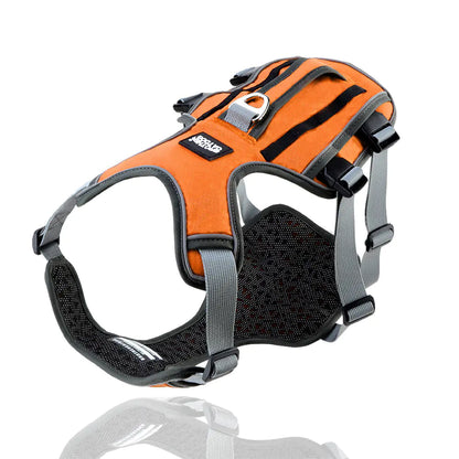 Dog Harness with Leash - Safe & Comfy Walks