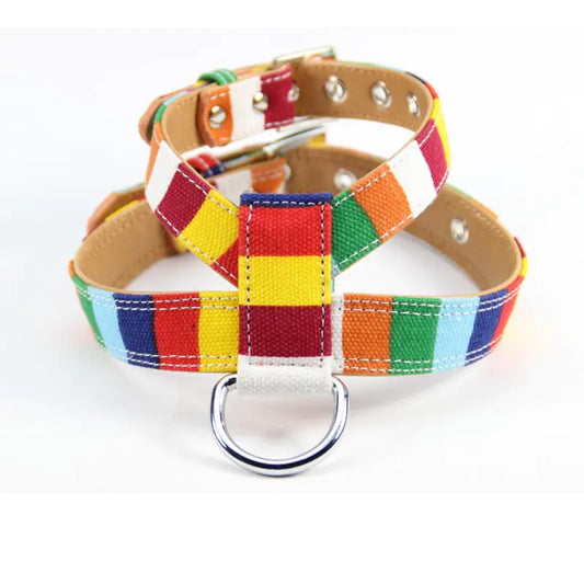 Colorful Dog Walking Rope Chest Strap Combo