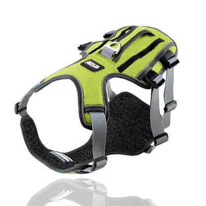 Dog Harness with Leash - Safe & Comfy Walks