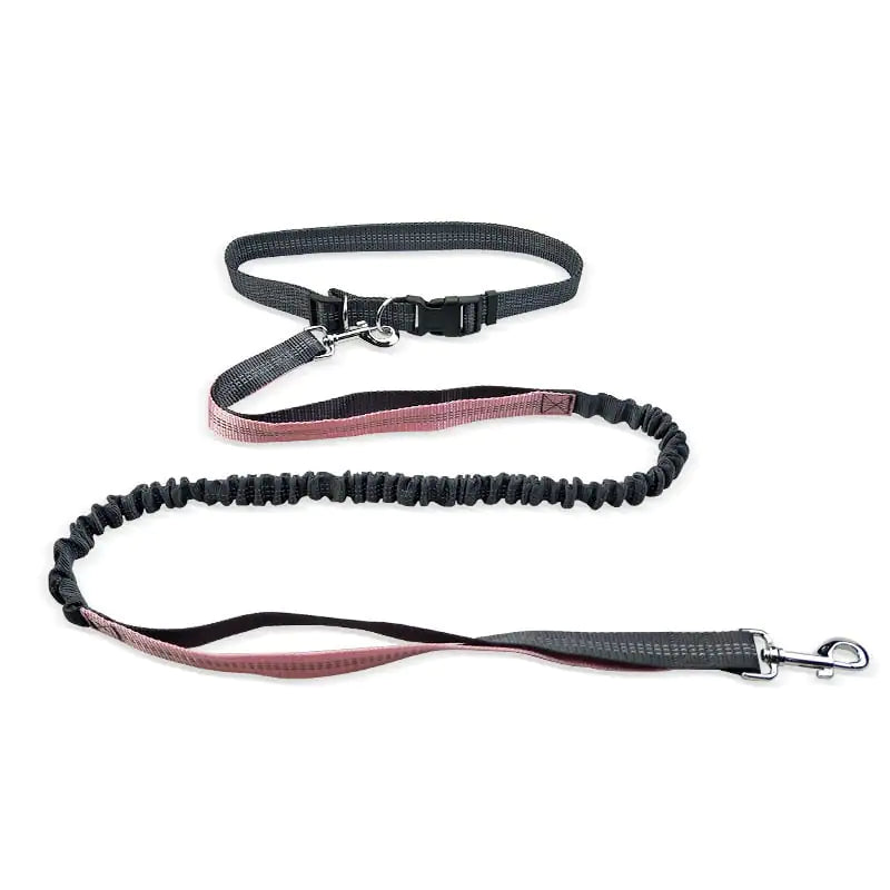 Dog Walking Belt