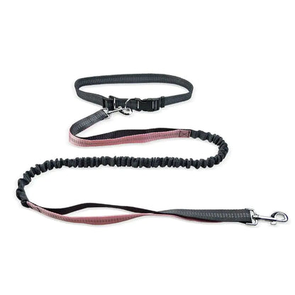 Dog Walking Belt