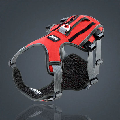 Dog Harness with Leash - Safe & Comfy Walks