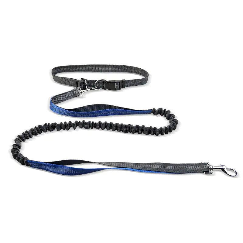 Dog Walking Belt