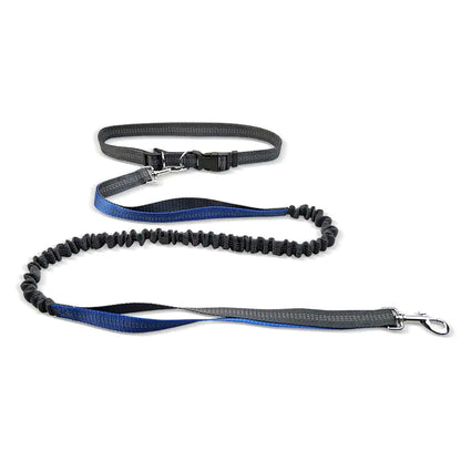 Dog Walking Belt