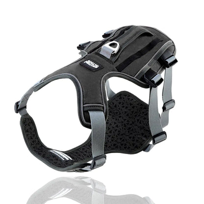 Dog Harness with Leash - Safe & Comfy Walks