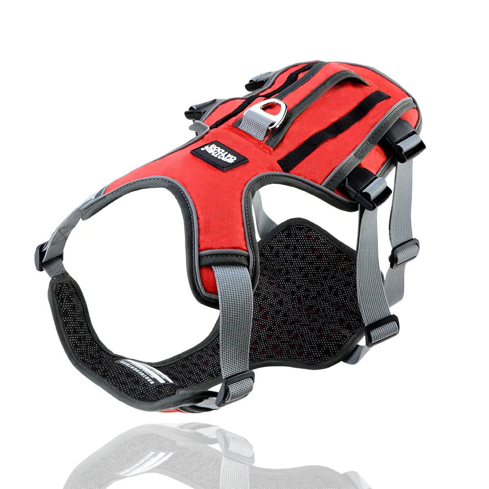 Dog Harness with Leash - Safe & Comfy Walks