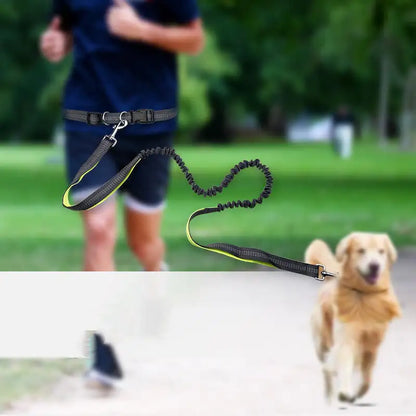 Dog Walking Belt
