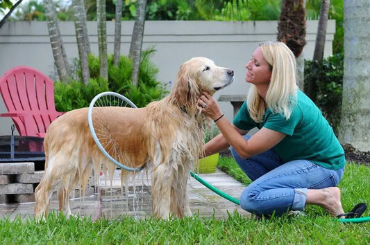 Puppy Cleaning & Rinse and Play Circle