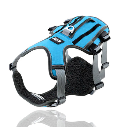 Dog Harness with Leash - Safe & Comfy Walks