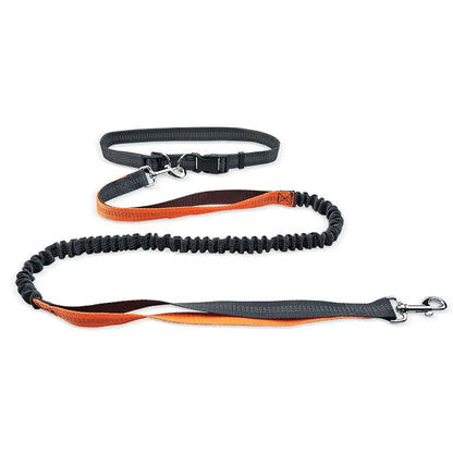 Dog Walking Belt